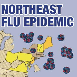 Flu Epidemic Map